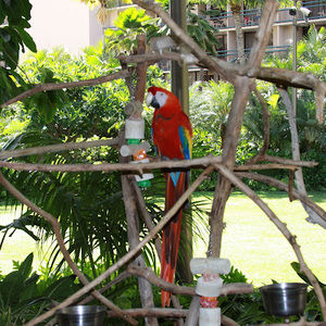 Meet your Posher, Cathy